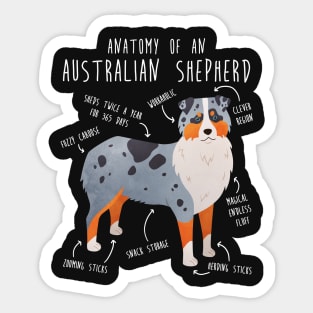 Aussie Australian Shepherd Anatomy Sticker